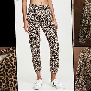 NWTS Velvet By Graham And Spencer Stretch Pants L!